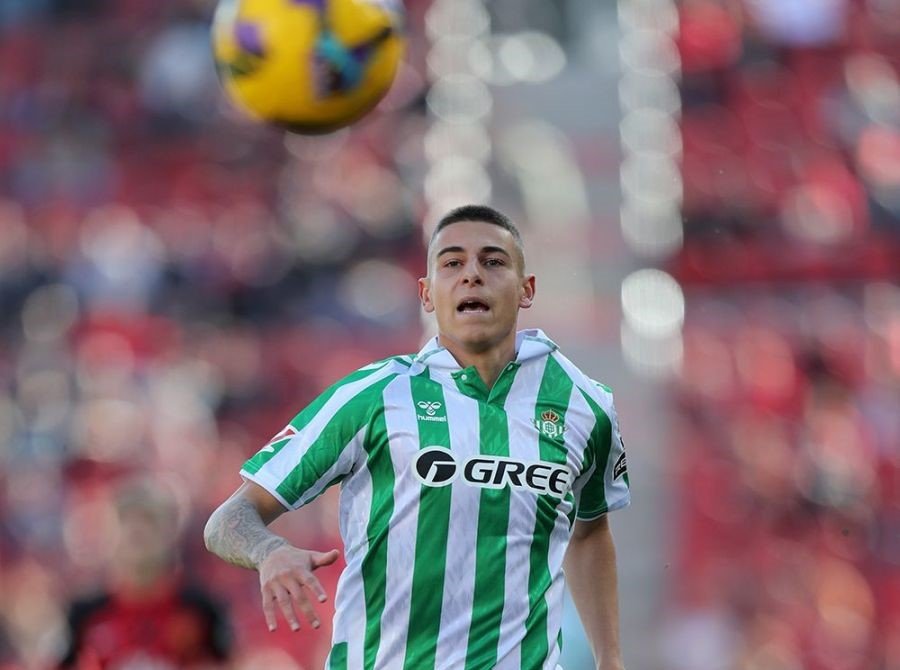 El Córdoba tiene en el radar al burgalés Sergio Arribas