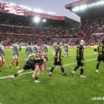 68fe6e366092a820041166