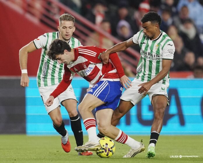 WhatsApp Image 2025-11-22 at 23.51.12